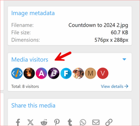 Media-Gallery-Visitors-1.0.0-Media-Visitors.png